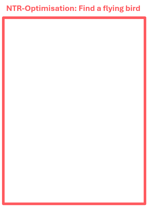 ntr-optimisation